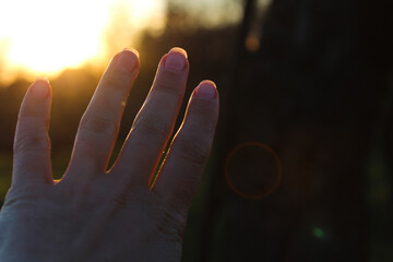 Reaching Hand Towards the Setting Sun