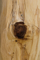 Close-up of a wood knot showing texture and grain detail.