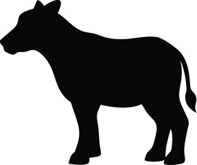 silhouette of a calf 