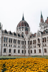 Hungarian Parliament on the background of a meadow with bright colors