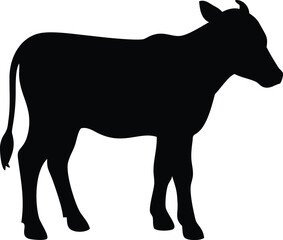 silhouette of a calf 