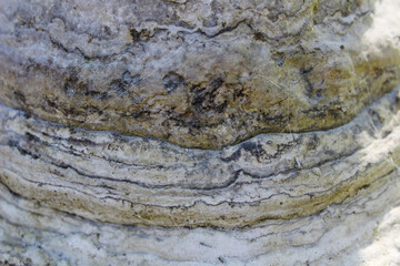 Close-up of Layered Stone Formation