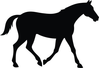 Obraz premium silhouette of a horse walking 
