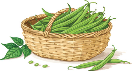 Green Beans in Wicker Basket Fresh Produce White Background Design