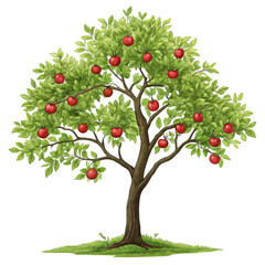 A tree full of red apples isolated on transparent background