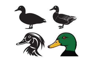 Duck Vector Illustrations Mallard and Silhouette Bird Graphics Collection