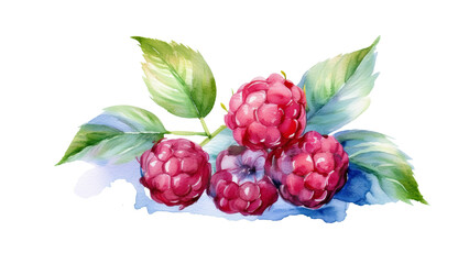 raspberry and blackberry