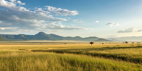 Fototapeta premium A view of a grassy field with mountains in the background under a cloudy blue sky
