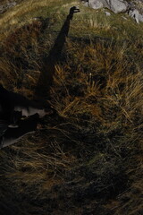 Hiking in Prokletije mountains, montenegro