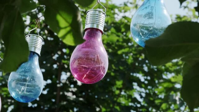 Colorful Decorative Light Bulbs Hanging Outdoors Amidst Lush Green Foliage in Bright Daylight