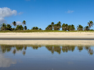 clouds and palms  reflected on the calm sea