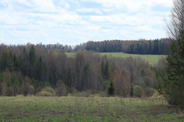 green field blue sky with clouds and forest on a sunny day in late spring
