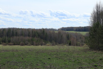 green fields and forests of northeastern Europe in mid-May on a sunny day