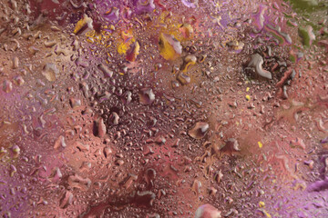 Smoke Close-up Selective soft focus pink, violet Flower, petal, pistil; stamen. Macro blur natural...