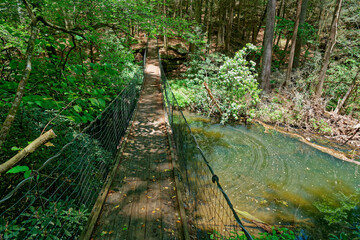 Wooden swinging foot bridge over water