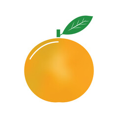  orange vector coloring illustration with white bag round