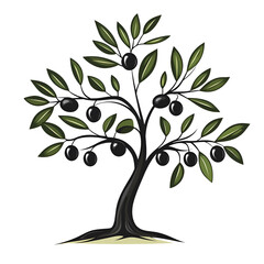 Stylized illustration of an olive tree with dark olives and green leaves against a white background