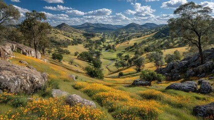 Naklejka premium A picturesque valley, adorned with vibrant yellow blooms in the foreground and majestic mountains shrouded in clouds in the backdrop