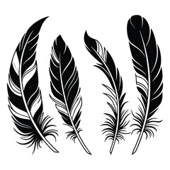 Obraz premium A diverse vector set of vintage feather and bird quill illustrations for design and decoration