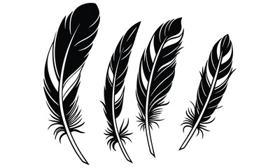 Obraz premium Feather vector illustration with black isolated feather design on white background