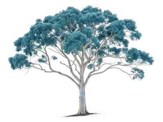 A large tree with blue leaves isolated on transparent background