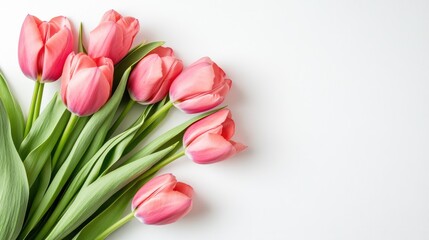 Fototapeta premium Pink tulip bouquet on white background with space for text. Mother's Day