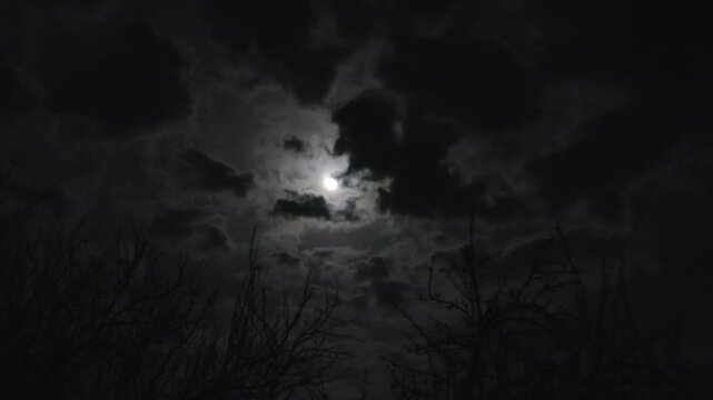 Scary night with flying black clouds. Moon in moody sky above branches of trees without leaves. Moonlight shining through dark clouds on Halloween midnight. Night nature and gloomy skyscape