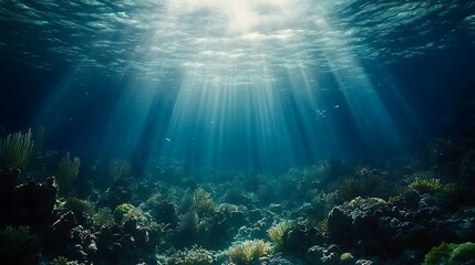 Fototapeta premium Underwater Coral Reef Sunlight. (1)