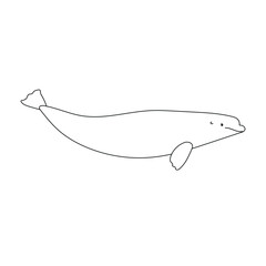 Vector flat hand drawn outline beluga whale isolated on white background