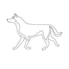 Vector flat hand drawn outline husky dog isolated on white background