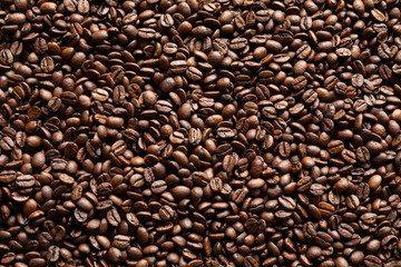 High-quality close-up image of roasted coffee beans in a smooth texture background