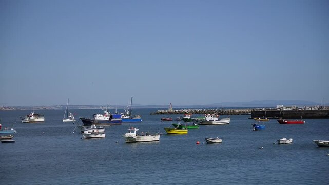 Calm Sunny Day at the Harbor with Colorful Fishing Boats and Palm Trees