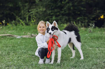 Horizontal shot of a little blond girl with her pet dog outdooors on nature in summer. Yakutian Laika dog breed. Happy childhood