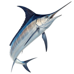Isolated marlin jumping isolated on transparent background