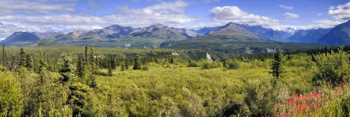 Woods at Chugach Mountains in Alaska. Pastoral panorama of the Chugach mountains and forest southeast of Anchorage Alaska with green meadows in the foreground