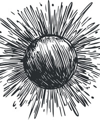 Black and white hand drawn sketch of a sun with radiant rays bursting outward in a vintage style