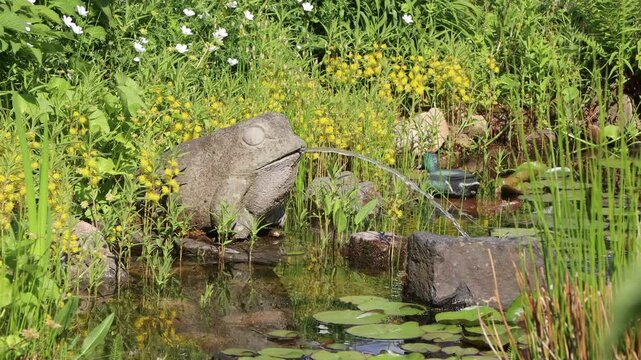 Wasser speiender Frosch aus Stein am Gartenteich, ges&auml;umt von Straussbl&uuml;tigem Gilbweiderich (Lysimachia thyrsiflora)
