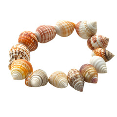 Trendy Shell Bracelet with Minimalist Design Isolated on Transparent Background