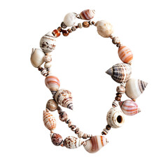 Bold Bohemian Shell Necklace Featuring an Asymmetrical Design Isolated on Transparent Background