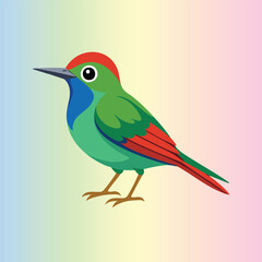 Colorful Tropical Bird Illustration on Pastel Background