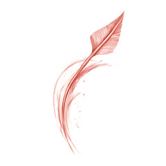 Artistic Arrow with Expressive Curves in Dusty Rose Isolated on Transparent Background