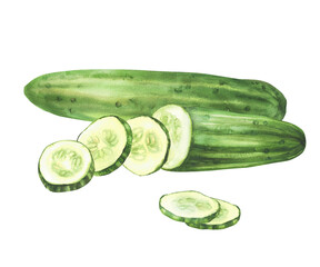 Cucumber fresh whole and cut sliced cucumber circles. Watercolor vegetables hand drawn illustration. Clipart for restaurant, kitchen menu, eco food, nature cosmetic label. Isolated from background