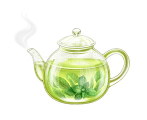 Glass teapot of hot herbal mint tea . Aromatic hot herbal tea isolated on white background. Watercolor art.