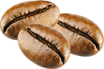 Coffee Beans isolated on white background PNG