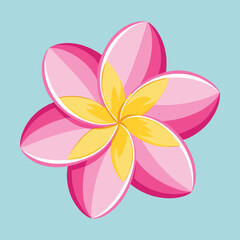 Flat Vector Of Pink Frangipani  Plumeria  Flower W (1)