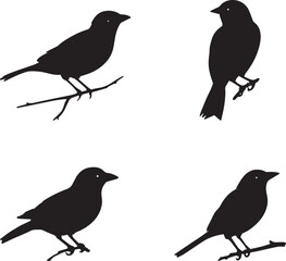 A set of four bird silhouettes perched on tree branches. This artwork is digitally enhanced using AI and manually edited for quality.