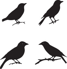 A set of four bird silhouettes perched on tree branches. This artwork is digitally enhanced using AI and manually edited for quality.
