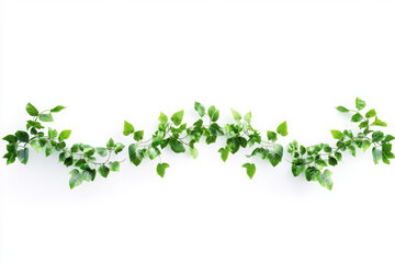 Leafy vine frame in a circular shape, isolated on a transparent background PNG file.