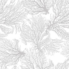 Graphic monochrome corals . hand drawing. Not AI, Vector illustration.