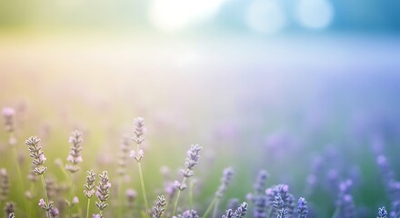 Blurred bokeh-style abstract background using lavender, lemon yellow, and sky blue, creating a peaceful, soft-focus visual with a minimalist and calm aesthetic for modern and elegant design use.